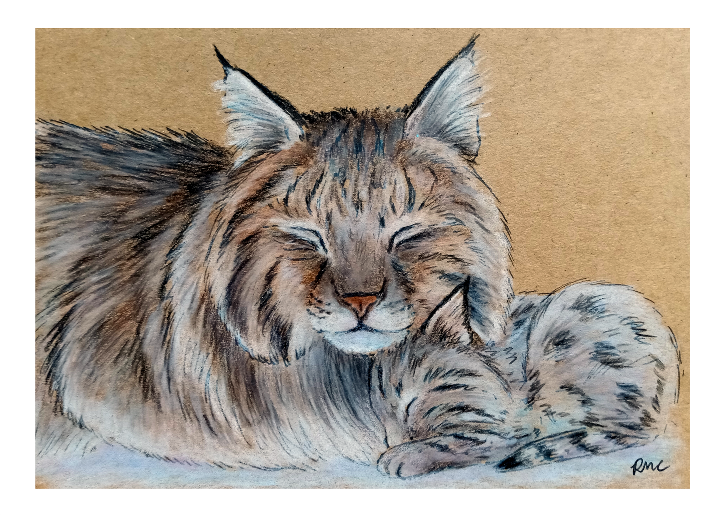 Greeting card - Cozy Cats
