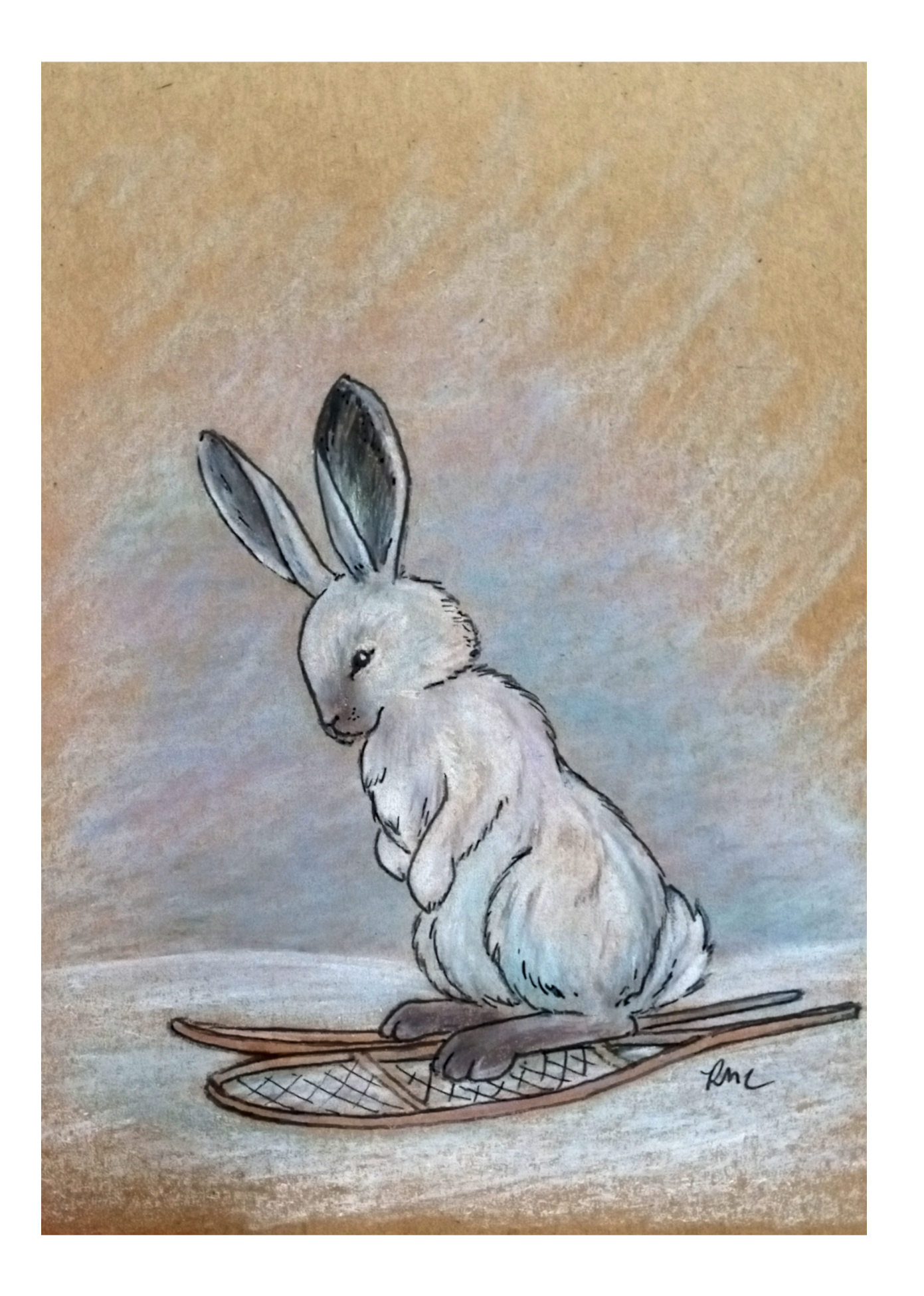 Snowshoe Hare