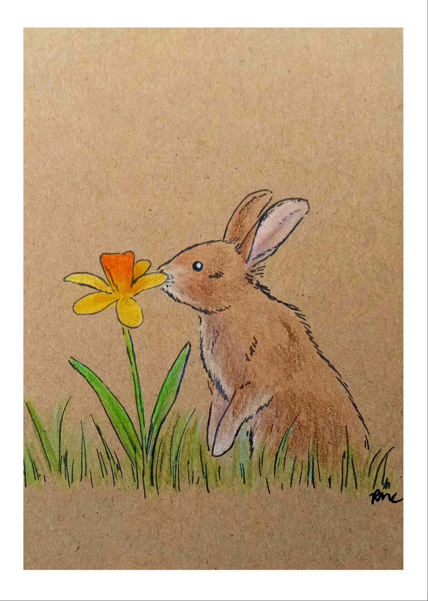 Signs of Spring