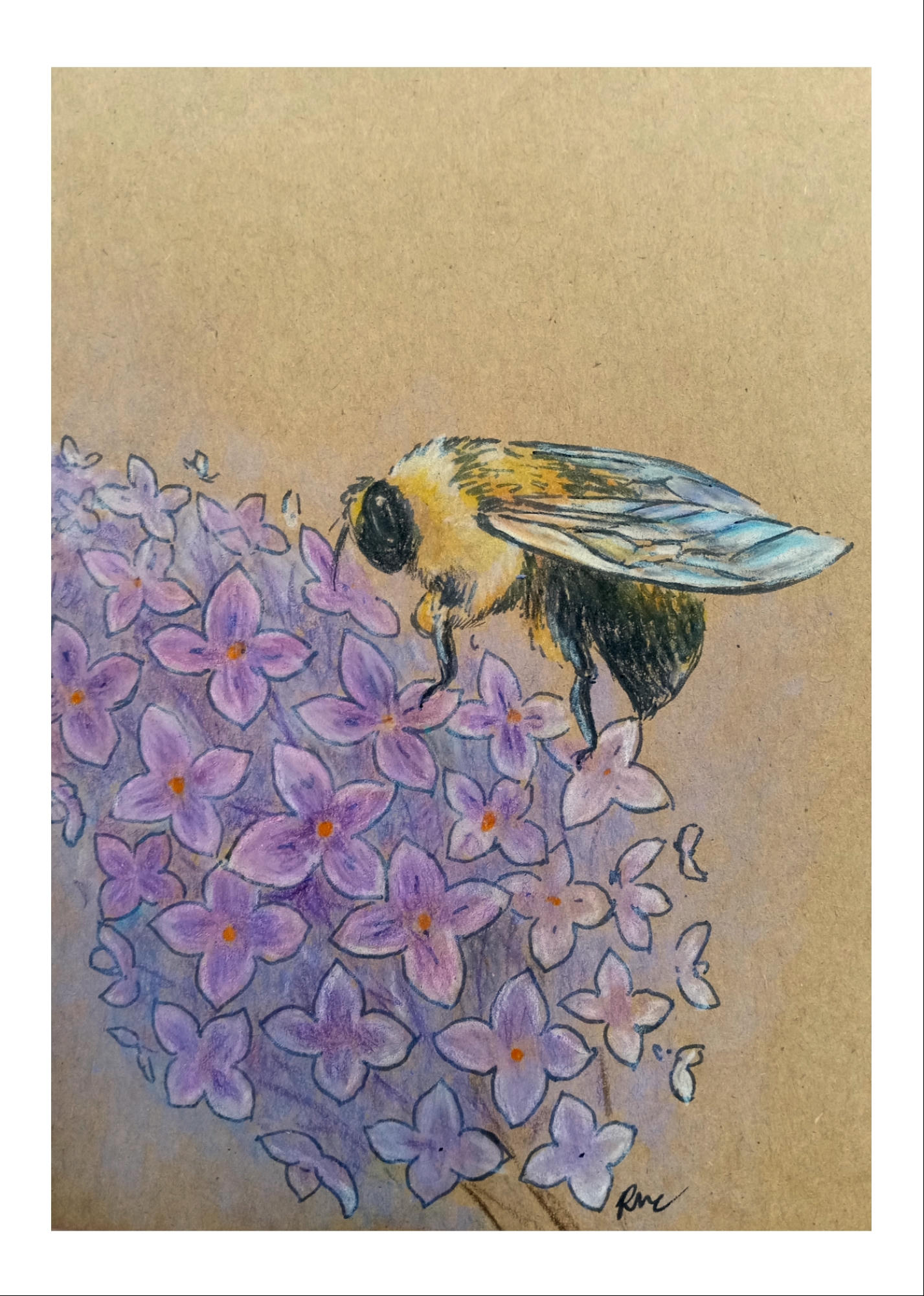 Greeting card - Buzz and Bloom