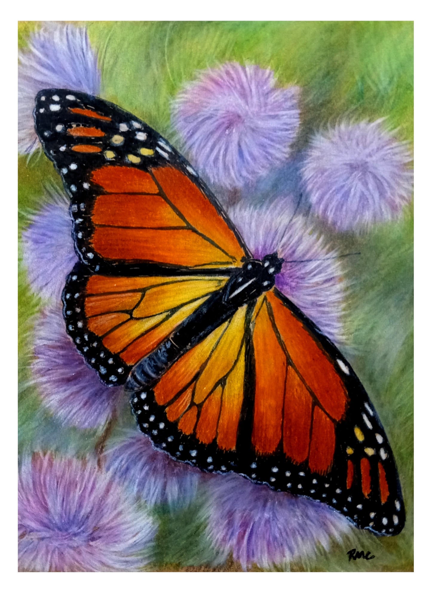 Migratory Monarch