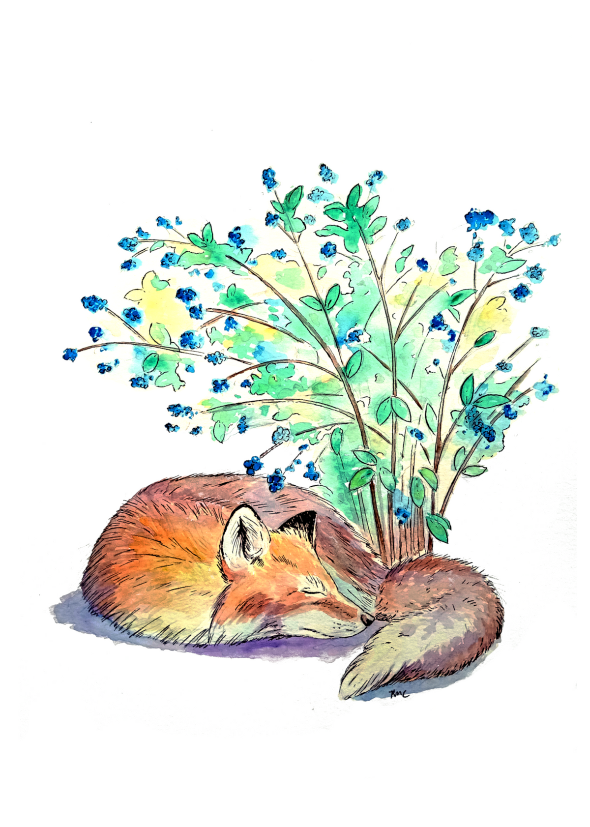 Greeting card - Blueberry Dreams