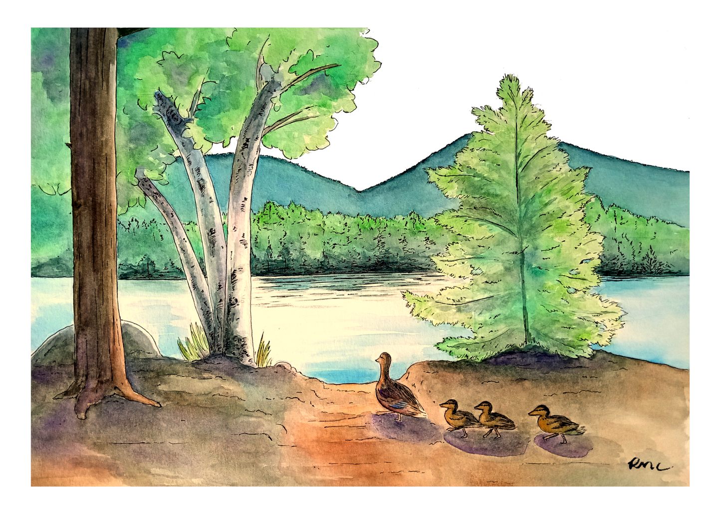 Greeting card - Family Swim