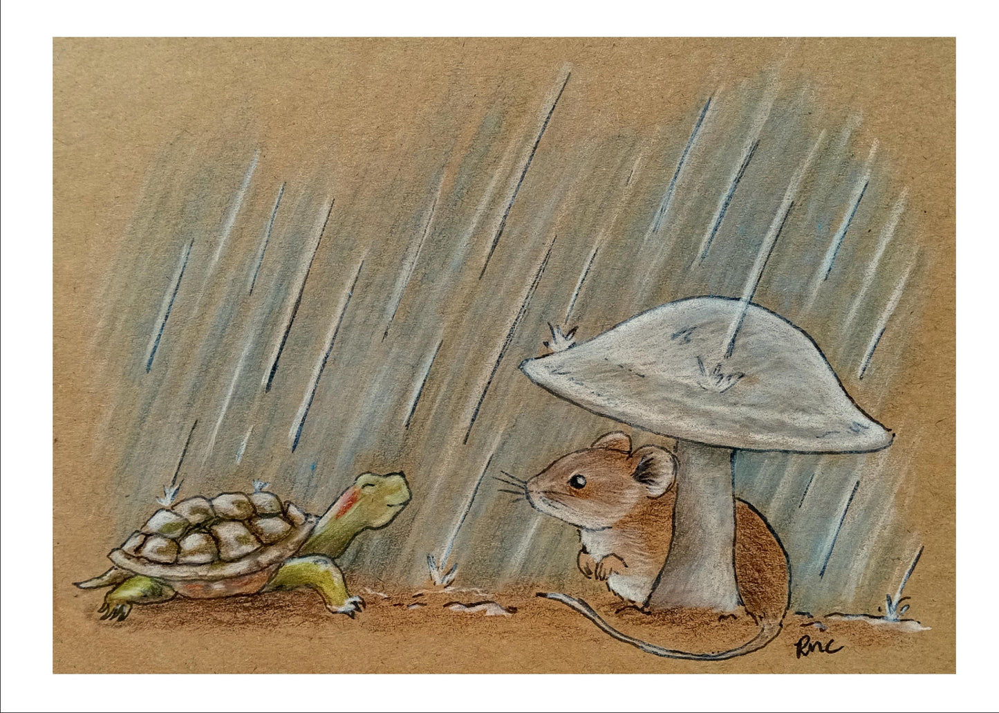 Shelter