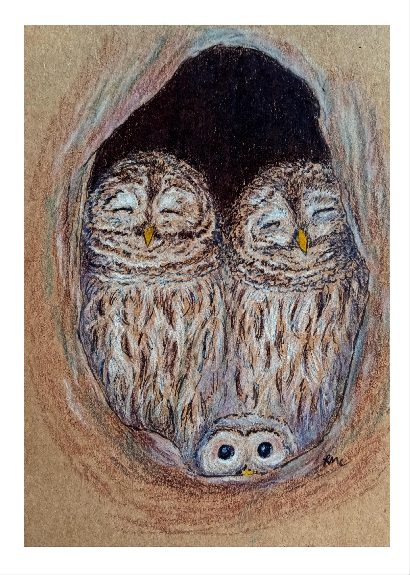Greeting card - Day Owl