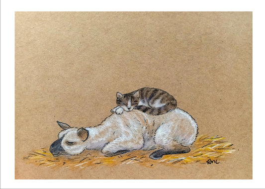 The Warmest of Friends